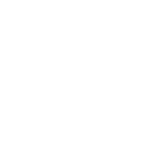 Logo securevent